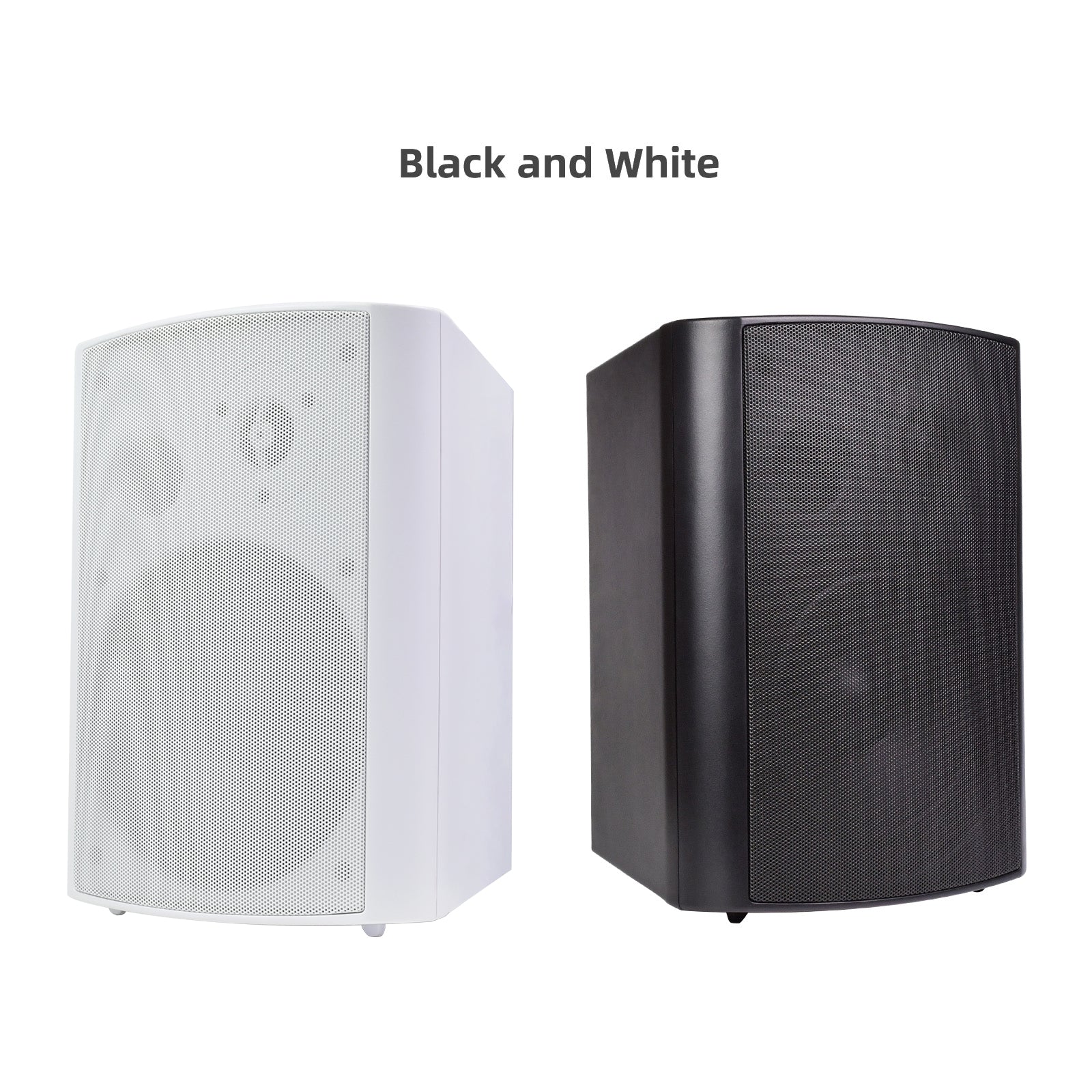 Klyrasound CS-5 HiFi Wall-Mounted Speaker, 6.5