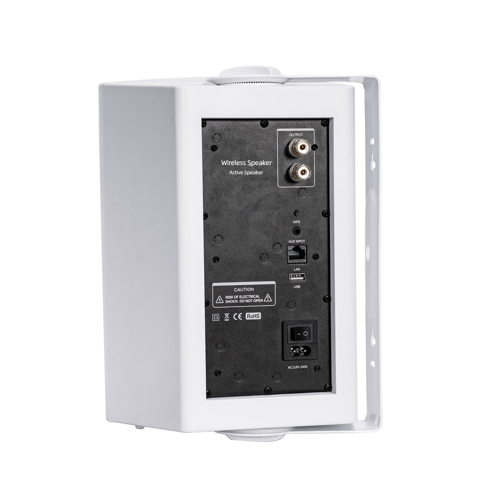 Klyrasound CS-5 HiFi Wall-Mounted Speaker, 6.5